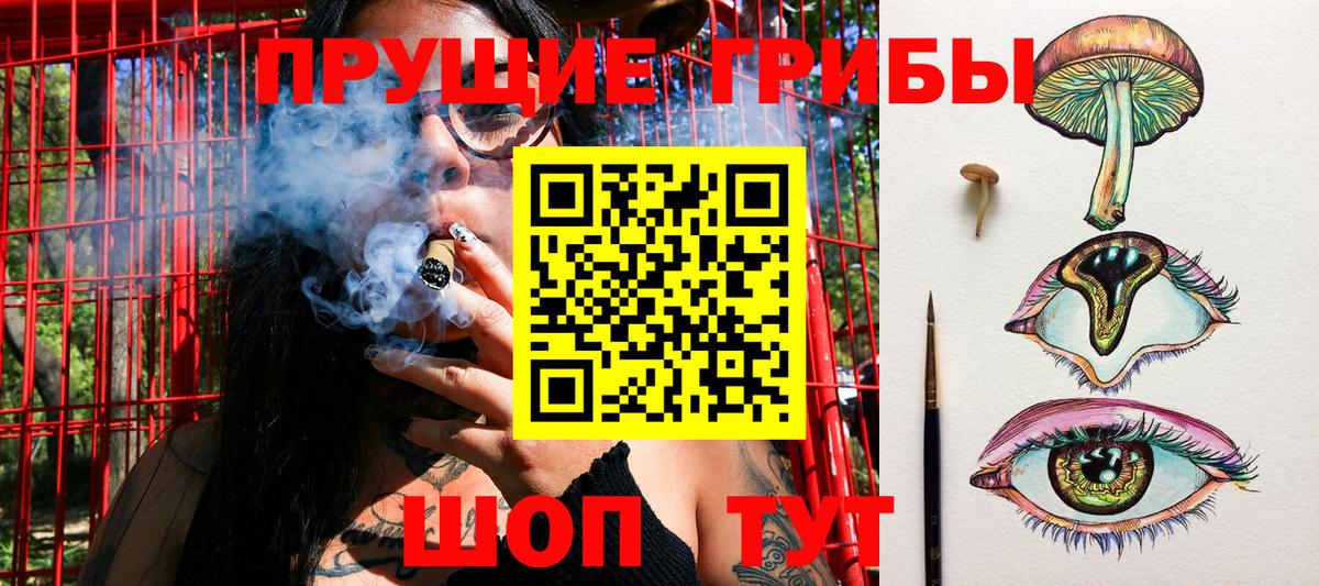 Курчатов  Галлюциногенные грибы Cubensis  Вход с VPN  Галлюциногенные грибы MAGIC MUSHROOMS 